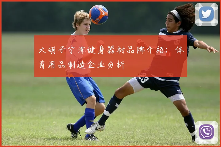 大胡子宁津健身器材品牌介绍：体育用品制造企业分析
