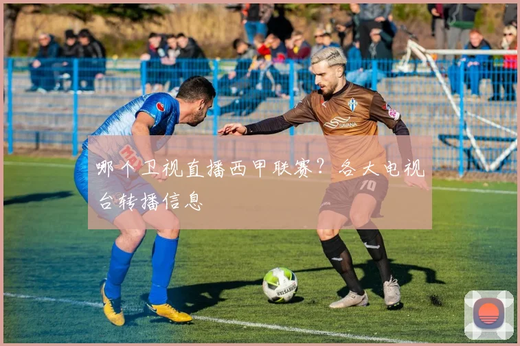 哪个卫视直播西甲联赛？各大电视台转播信息